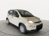 Fiat Panda Hybrid *70PS*DAB*Klima*PDC - Fiat Panda Vorführfahrzeuge