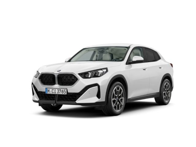 BMW X2 20 i sDrive 20i EU6e SDRIVE20I Park-Assistent