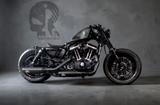 Harley-Davidson Sportster 48 Forty-eight/Jekill/ 180 Umbau etc - HARLEY-DAVIDSON SPORTSTER UMBAU