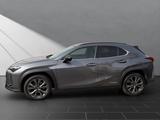 Lexus UX 250H*SCHECKHEFT*TOTW*LEDER* - Lexus UX in Duisburg