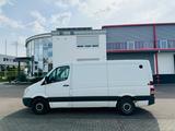 Mercedes-Benz Sprinter II Kasten 316/316 NGT/316 LGT+AHK+2xPDC - Mercedes-Benz Sprinter: Ngt