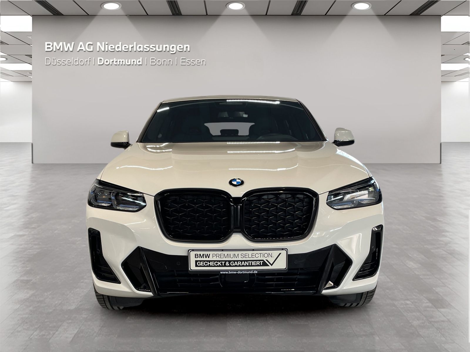 BMW X4 - Bild 8