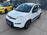 Fiat Panda 1.HAND/KLIMA/BLUETOOTH/ALU/SCHECKHEFT - Fiat Panda Gebrauchtwagen in Mannheim