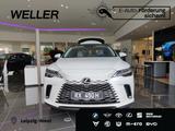 Lexus RX 450h + 2,5 l E-CVT, 4x4 Plug-in 5-Türer EXECU