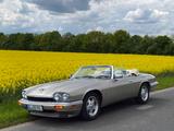 Jaguar XJS im TOP-Zustand, H-Kennzeichen, 2+, Tüv neu - Jaguar XJS Gebrauchtwagen
