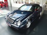 Mercedes-Benz CLK 320 Cabriolet AMG/ Xenon/ Leder/ PDC/ 2.Hand - Mercedes-Benz CLK-Class aus 1998