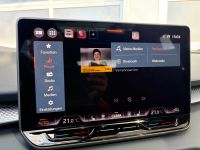 Cupra Terramar VZ 2.0 TSI DSG 4Drive PANO AHK 5J GAR bei Autohaus Landmann & Maier OHG
