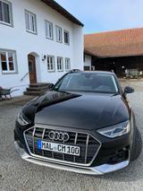 Audi A4 Allroad 45 TFSI S tronic quattro - LED, AHK  - Audi A4 Allroad aus 2020