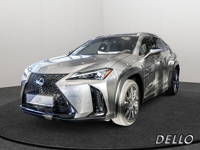 Lexus UX 300h F-Sport PDC NAVI LENKRADHEIZUNG LED