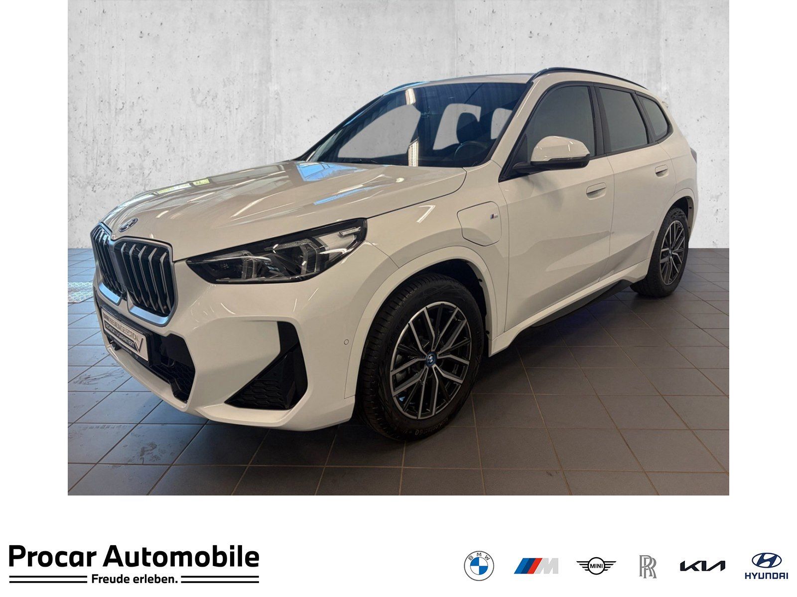 BMW X1 xDrive25e M Sport HUD ACC AHK 360°KAM RFK LM