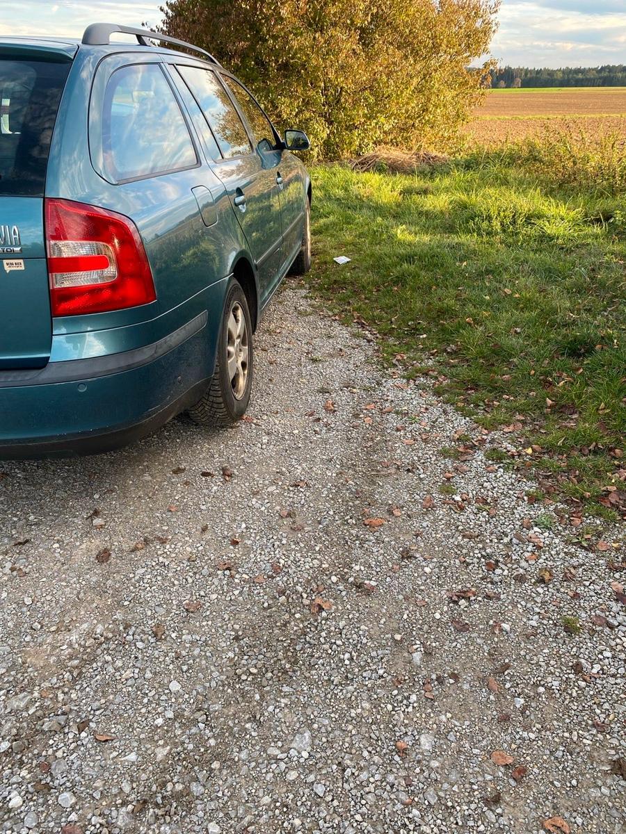 Skoda Octavia 2005 — engine 105 HP (77kW)