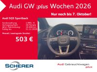 Audi SQ5 - Vorschau Bild 10