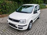 Fiat Panda 1.3 2011 "Klima" - Fiat Panda Gebrauchtwagen in Osnabrück