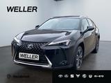 Lexus UX 250h Style Edition *Bi-LED*ACC*CAM*SHZ*CarPla - Lexus UX aus 2023