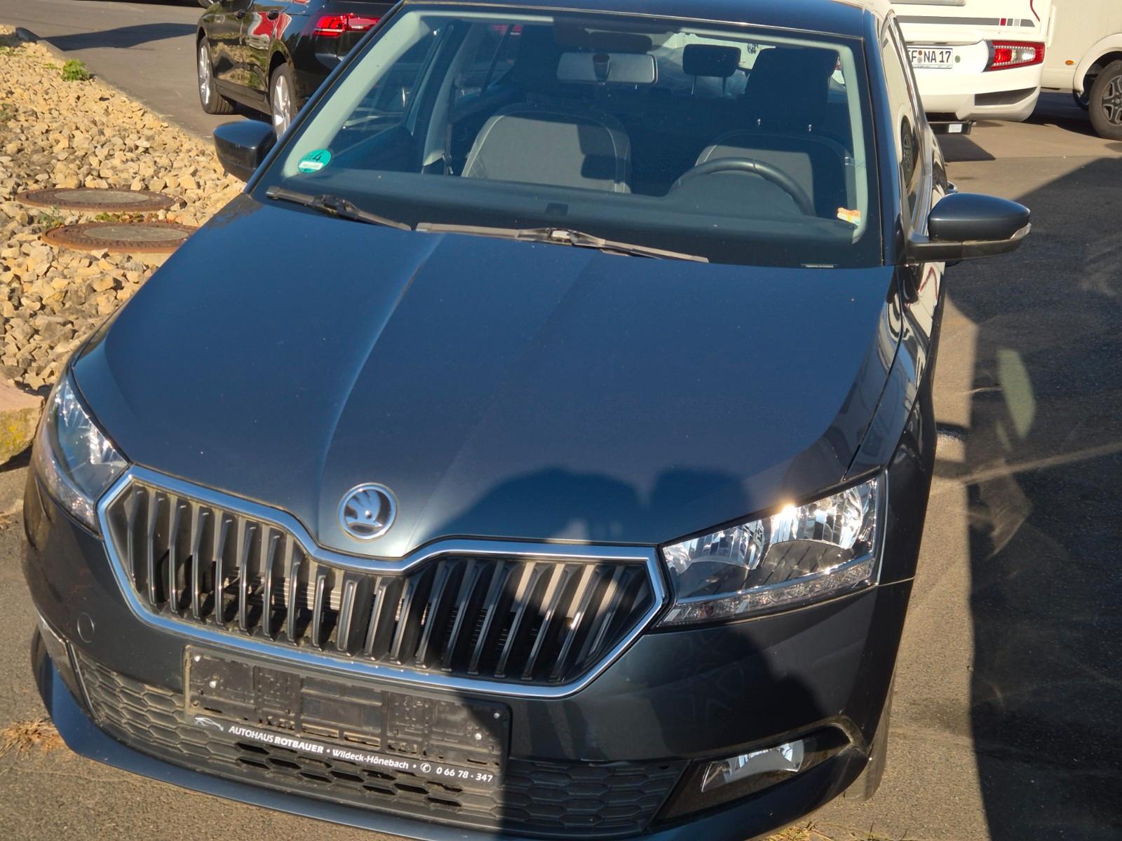 Skoda Fabia Ambition 1.Hd.  Klima SHz