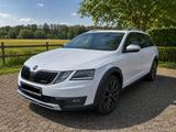 Skoda Octavia 2.0 TSI DSG 4x4 Scout Combi Scout - Skoda Octavia Scout mit Benzin-Antrieb