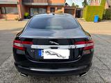 Jaguar XF 3.0 V6 D *TÜV BIS 08/27* *DPF + LiMa neu*  - Jaguar XF mit Diesel-Antrieb: 6.2