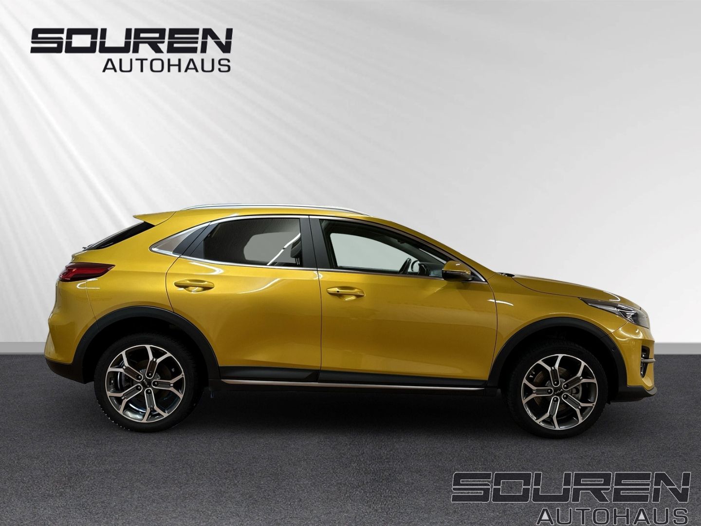 Fahrzeugabbildung Kia XCeed 1.6 GDI PHEV Platinum Edition Navi Leder D