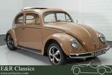 Volkswagen Kever Ovaal Ragtop | Leuke rijdersauto | 1957