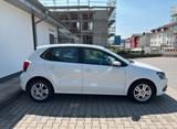 Volkswagen SUCHE VW Polo ab 2015 - : Suche