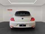 Volkswagen Beetle Cabriolet Sport-KEYLESS-TEMPOMAT-FENDER - Volkswagen Beetle: Leder