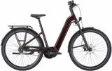 Pegasus PREMIO EVO 5F Lite Belt Auto S - 28" - Pegasus E-Bikes