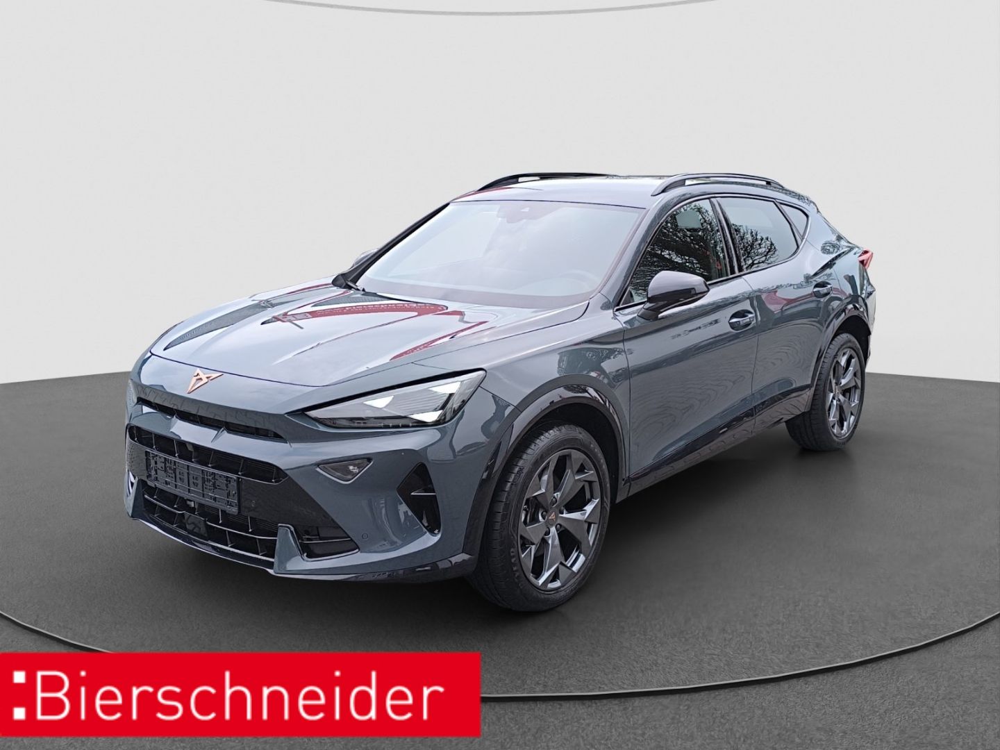 Cupra Formentor 1.5 eTSI DSG LED RFK PDC