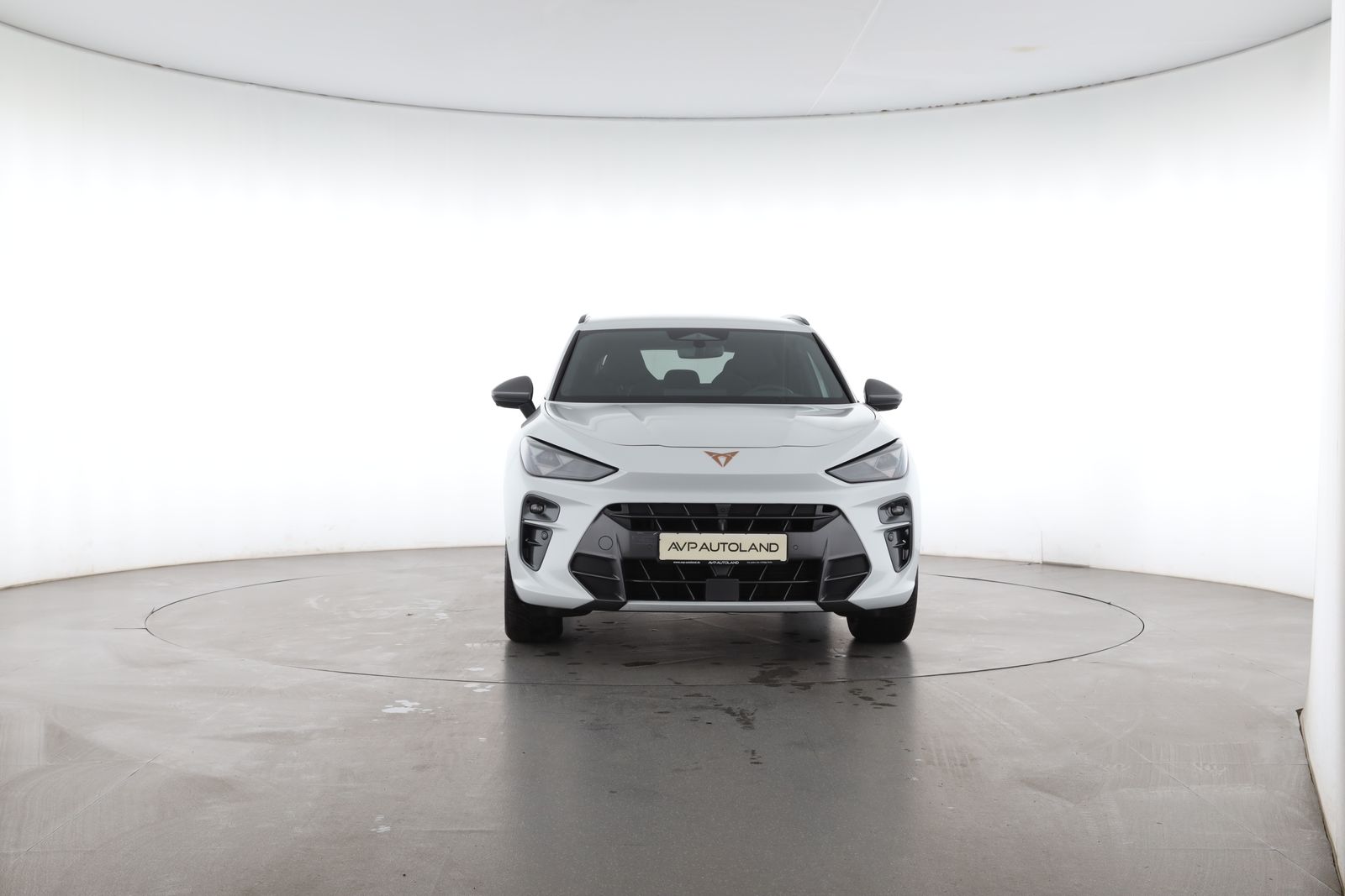 Cupra Terramar - Bild 5