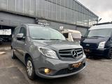 Mercedes-Benz Citan Kasten 109 CDI lang - Mercedes-Benz Citan in Essen