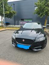 Jaguar XF  2.2 Diesel - Jaguar XF in Stuttgart