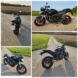 Honda Hornet CB600 FA - nur 18.035 km  - HONDA HORNET