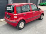Fiat Panda - 8-fach * 1. Hand - Fiat Panda aus 2010