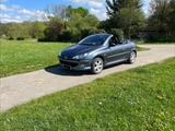 Peugeot 206 CC Platinum 110 Platinium - Peugeot 206 Gebrauchtwagen in Stuttgart