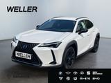 Lexus UX 250h Style+ Edition *LED*ACC*CAM*SHZ*CarPlay*