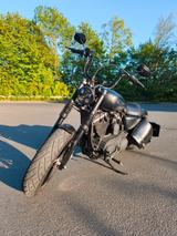 Harley-Davidson Sportster XL1200 Custom - Offers