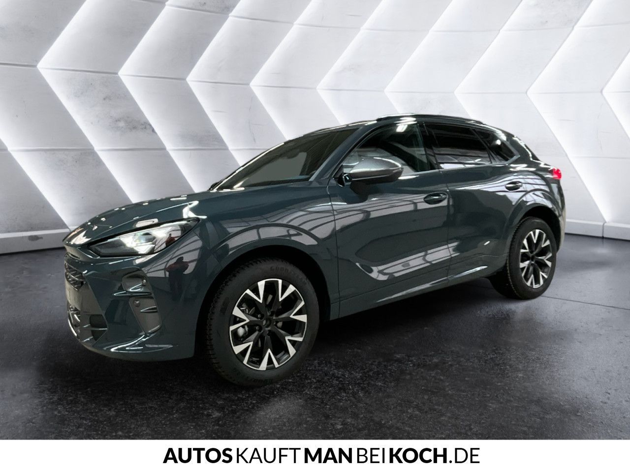 Cupra Terramar - Bild 5