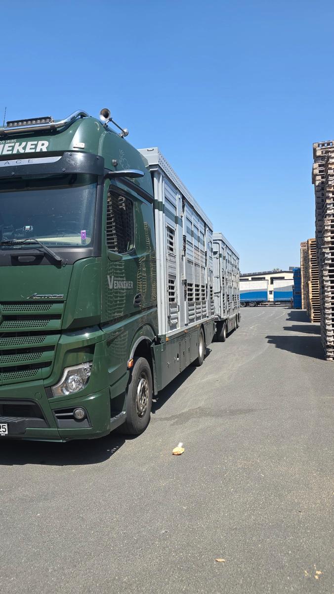 Mercedes-Benz FINKL 3 STOCK AUFBAU U: ANHÄNGER N SW; GV