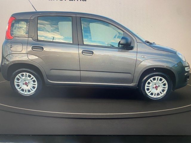 Fiat Panda 1.2 Easy PREZZO REALE