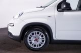 Fiat Panda 1.0 MY24 GSE Hybrid*Klima*4-Sitzer* - Fiat Panda: Sitzer