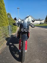 Ducati Desert X Rally + Sportpaket *Service NEU* - DUCATI X DESERT