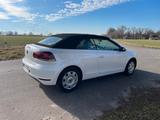 Volkswagen Golf 1.4 TSI 90 kW Cabriolet - - Volkswagen Golf: Cabrio, Golf4