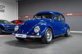 Volkswagen Käfer 2.9 BRD Kerscher Faltdach Leder *208PS* - Volkswagen Käfer: Faltdach