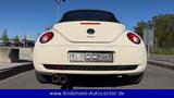 Volkswagen New Beetle Cabriolet 1.8 Turbo - Volkswagen New Beetle: Beige