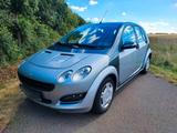 Smart SMART FORFOUR 22000KM KLIMA AUTOMATIK PANO... - Smart ForFour in Dresden