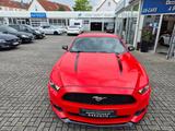 Ford Mustang 2.3 EcoBoost - Ford Mustang