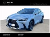 Lexus NX 350 h Executive Line,Tech,Interieur - weiße Lexus NX 350h