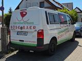Volkswagen T6 Transporter, langer Radstand, Hundeboxen - Volkswagen T6 Transporter: Langer Radstand