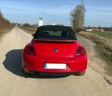 Volkswagen Beetle 1.2 TSI BMT Cabriolet - - Volkswagen Beetle in Hannover