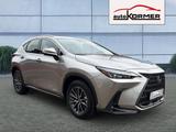 Lexus NX 350h E-FOUR Business CarPlay,Bi-LED,sofort - Lexus Gebrauchtwagen in München