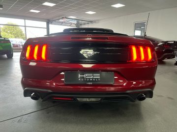 Ford Mustang - 8